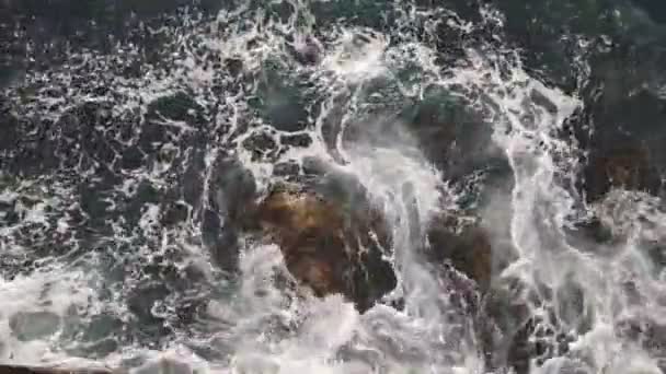 Fortes vagues de la mer Noire, Foros