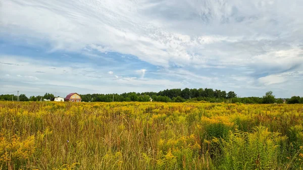 Bulutlu bir günde şaşırtıcı derecede güzel bir gökyüzü, Chkalovsk, Rusya