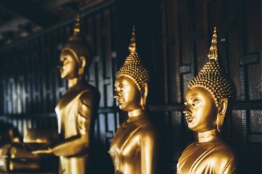 ahşap arka plan üzerinde 3 altın buddha