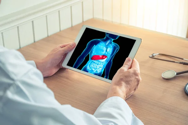 Dijital tablet karaciğer ile anatomi insan vücudu üzerinde tutan doktor