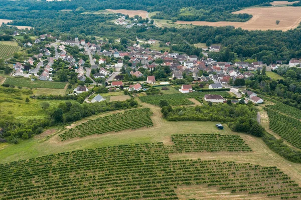 Fransa'da üzüm bağları ile burgundy köyü. Bir drone tarafından yukarıdan görünümü