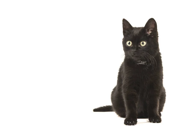 Νεαρή Μαύρη Γάτα Κάθεται Κοιτάζοντας Μακριά Αριστερά Απομονωθεί Λευκό Φόντο — Φωτογραφία Αρχείου