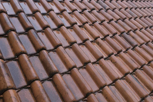 Azulejos de techo naranja húmedo en el techo de una casa — Foto de Stock