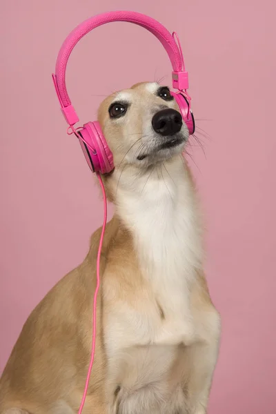ピンクのヘッドフォンを着用したかわいいシルクの風の肖像画 — ストック写真