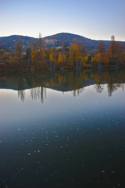 Reflexión Del Árbol Otoño Río Saone Cerca Lyon —  Fotos de Stock