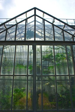 sera park de la tete d'Or Lyon şeffaflık ışık