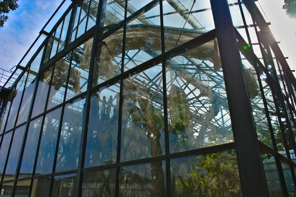 Transparenz Der Großen Gewächshäuser Des Parks Tete Lyon Rhone Frankreich — Stockfoto