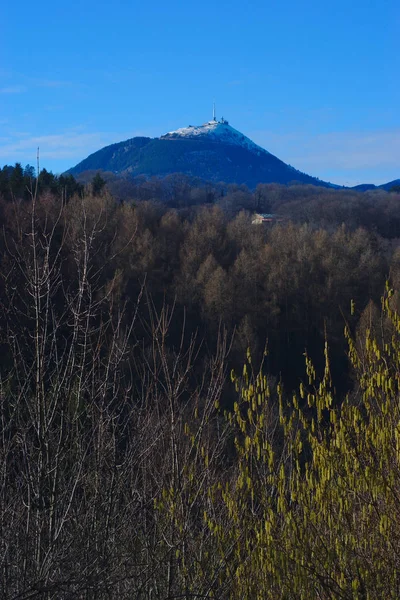 Puy Dome Schneebedeckter Frühling Vordergrund Des Waldes — Stockfoto