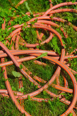 yeşil çimenlere dolanmış turuncu bahçe hortumu