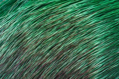 Çiğ kürk dokusu, yeşil geyik