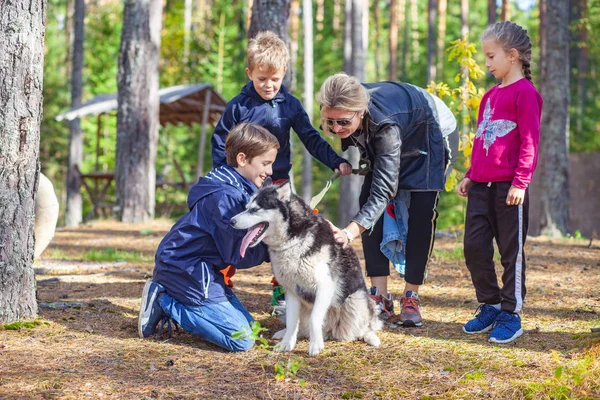 Çocuk husky ile yürümek