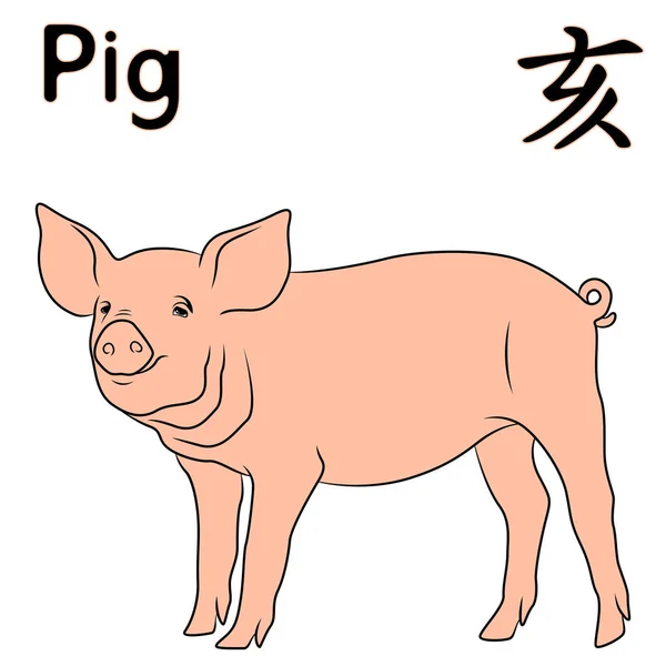 Çince Zodyak sembolü domuz — Stok Vektör