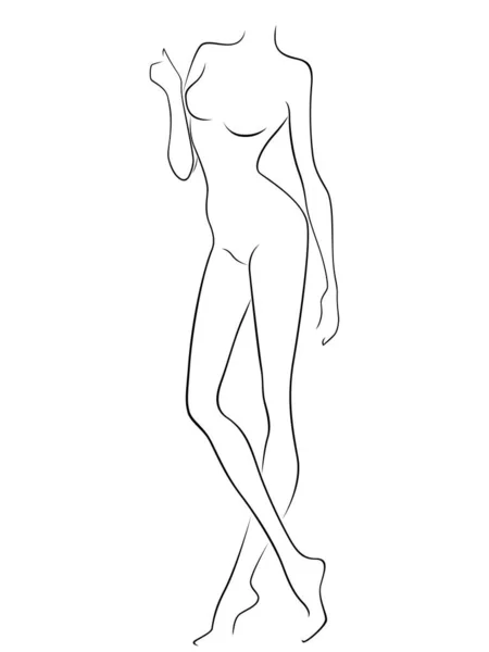 有吸引力的优雅女性身体的素描 — 图库矢量图片