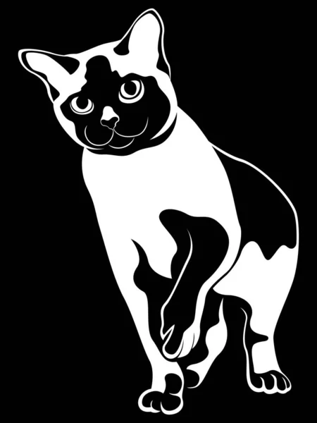 Zwarte abstracte kat stencil — Stockvector