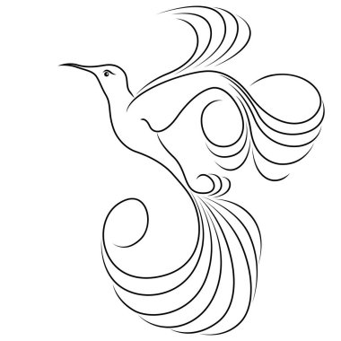 Soyut uçan sinekkuşunun siyah çizgisi beyaz arka planda izole edilmiş.