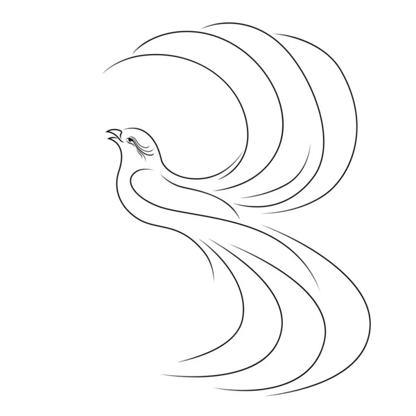 Silhueta Pássaro Bonito Voador Abstrato Contorno Preto Isolado Fundo Branco —  Vetores de Stock