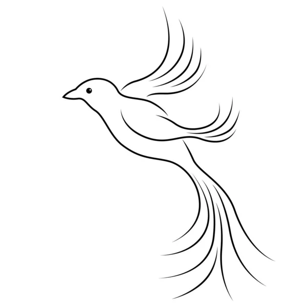 Abstract Silhouet Van Prachtige Vliegende Vogel Zwarte Omtrek Geïsoleerd Witte — Stockvector