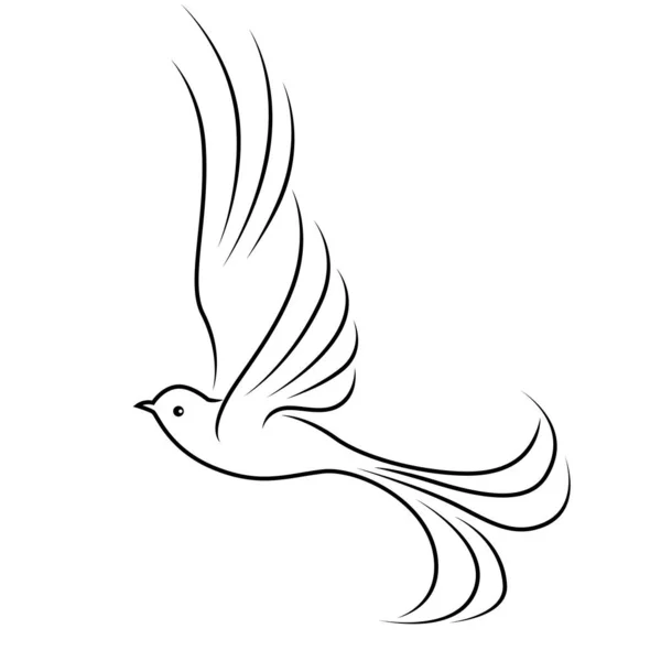 Abstraktní Krásný Létající Pták Černý Obrys Izolovaný Bílém Pozadí — Stockový vektor