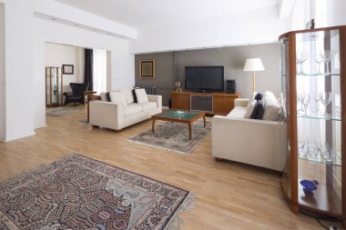 çağdaş oturma odası. iç