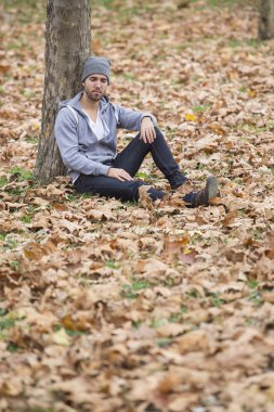 doğa .autumn leaves.copy alan adam