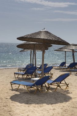 şezlonglu güzel kum plajı