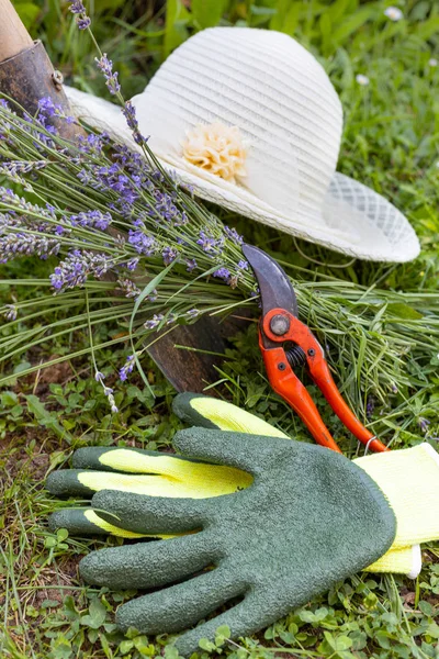 scissors and other gardening equipment
