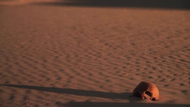 砂漠の真ん中で人間の頭蓋骨 — ストック動画