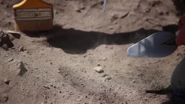 Ferramentas Arqueológicas Arqueólogo Trabalhando Local Pincel Close Mão Ferramenta — Vídeo de Stock