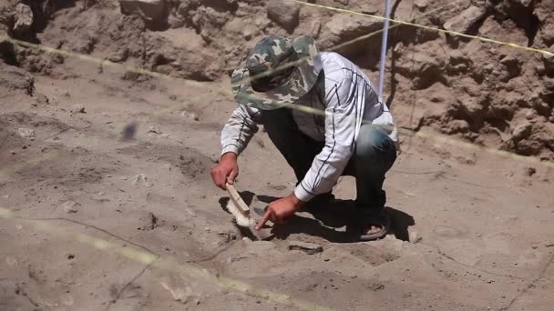Arqueólogo Escavações Oriente Médio Escavação Arqueológica — Vídeo de Stock