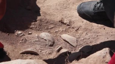 Yakın çekim, el ve araç arkeolojik araçları, site üzerinde çalışan arkeolog fırça