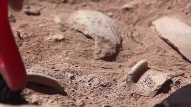 Yakın çekim, el ve araç arkeolojik araçları, site üzerinde çalışan arkeolog fırça