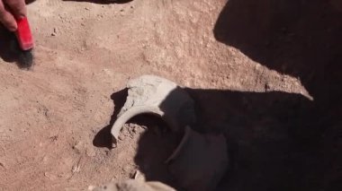 Yakın çekim, el ve araç arkeolojik araçları, site üzerinde çalışan arkeolog fırça