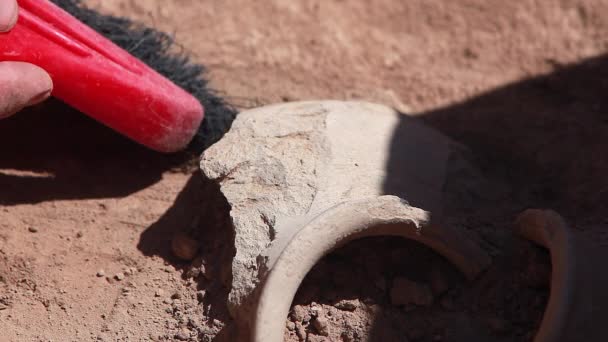 Archeologiczne Narzędzia Archeolog Praca Miejscu Szczotki Szczelnie Góry Dłoń Narzędzia — Wideo stockowe