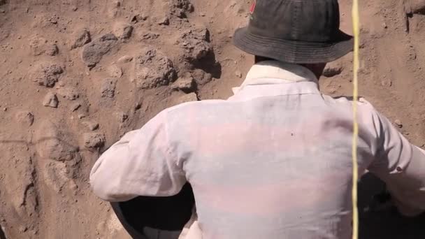 考古学家 挖掘在中东 考古学挖掘 — 图库视频影像