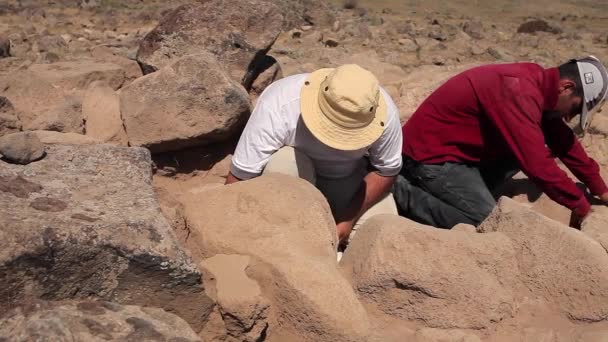 Археолог Близькому Сході Археологічні Розкопки Розкопки — стокове відео