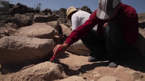 考古学者 考古学的発掘の発掘調査 — ストック動画