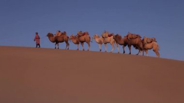 Geçen aracılığıyla çölde deve karavan