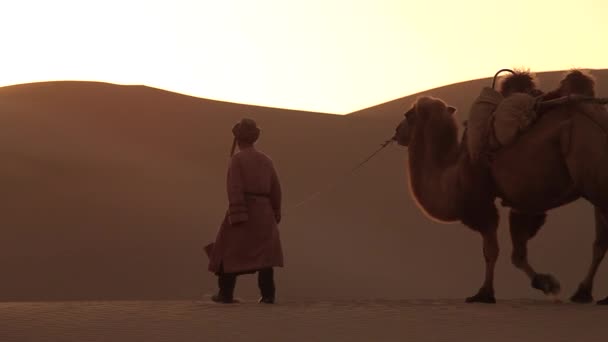 Cammello Carovana Nel Deserto Passando Attraverso — Video Stock