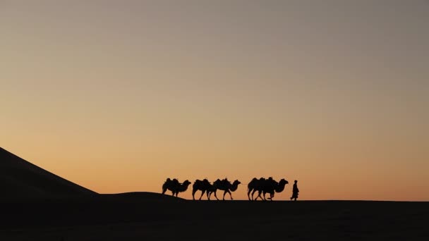 Kameel Caravan Silhouet Bij Zonsondergang Het Midden Van Woestijn — Stockvideo