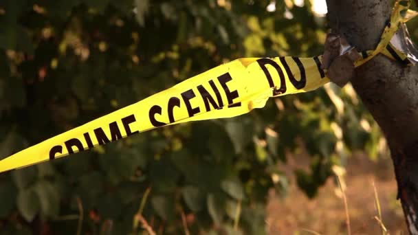 Crime Scene Tape Closeup Police Tape Cross Outdoors — Stock Video