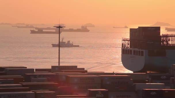 Shanghai Godsterminal Containerfartyg Och Lyft Kranar Vid Solnedgången Yangshan Världens — Stockvideo