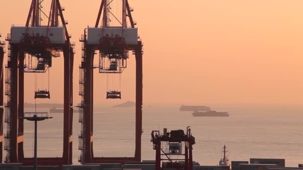 上海貨物ターミナル コンテナー船と持ち上げるクレーン夕暮れ時 世界の忙しいコンテナ ポートの一つです — ストック動画