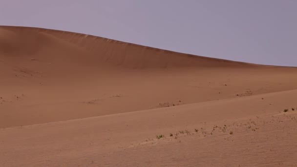 Sandstorm Deserto Cênica — Vídeo de Stock