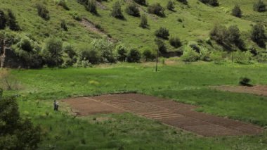 İş yerinde, çiftçiler ile çalışma tarlayı