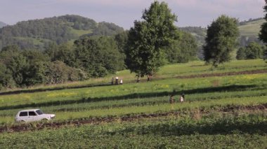 İş yerinde, çiftçiler ile çalışma tarlayı