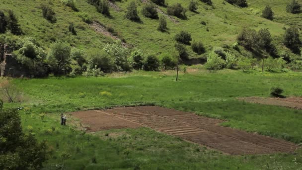 Agricultores Trabalho Trabalhando Com Arado Campo — Vídeo de Stock