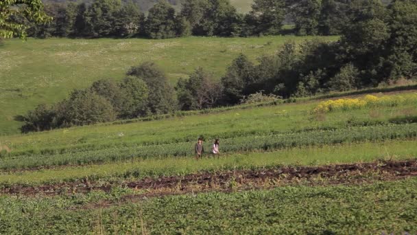 Jordbrukare Jobbet Arbetar Med Plogen Fältet — Stockvideo
