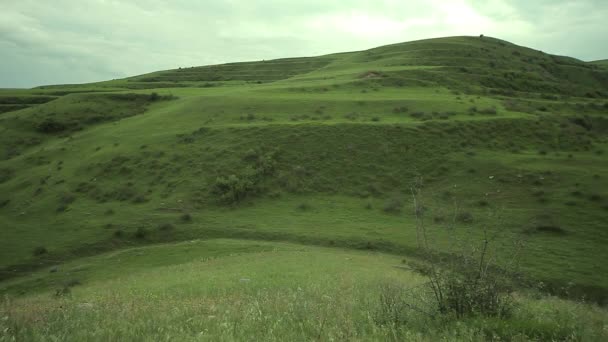 Paesaggio Green Valley Caucaso — Video Stock