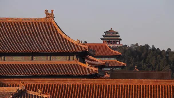 Techos Azulejos Tradicionales Del Templo Chino Ciudad Prohibida Beijing China — Vídeo de stock