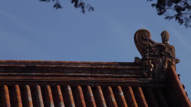 Tradičním Kachlovými Střechy Čínský Chrám Zakázaném Městě Peking Čína — Stock video